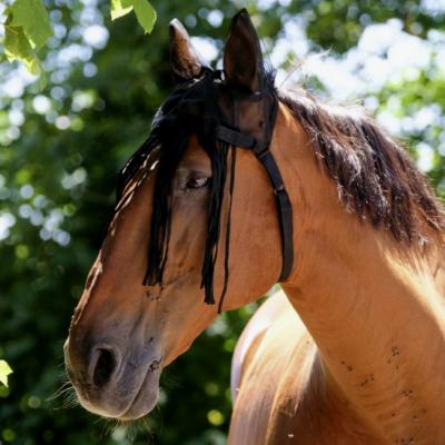 Bonnet Equithème en mesh avec franges