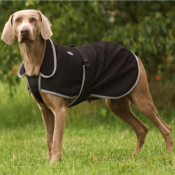 Couverture pour chien Diego & Louna Soft Shell