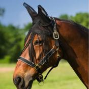 Bonnet Equithme en mesh avec franges