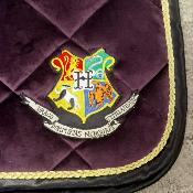 Tapis LBAT Harry Potter