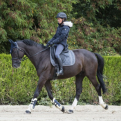 Veste Equitheme Pro Series Cadence