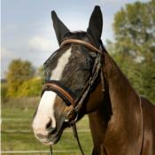 Masque anti-mouches Equithème Training