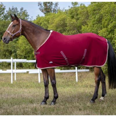 Chemise polaire Equithème Polyfun