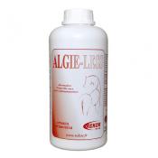 Algie Less Rekor
