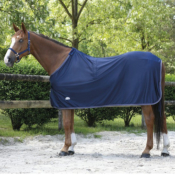 Chemise Equitheme Microfleece Standard