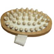 Brosse de massage Borstiq