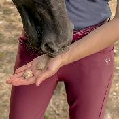 Pantalon Horse Pilot X-Design